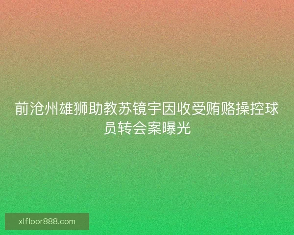 前沧州雄狮助教苏镜宇因收受贿赂操控球员转会案曝光