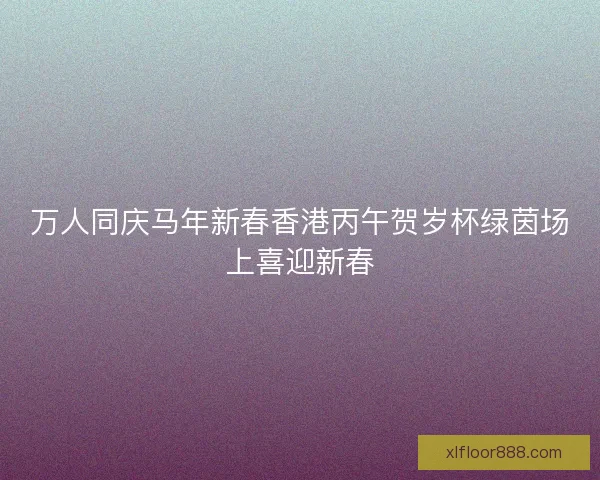 万人同庆马年新春香港丙午贺岁杯绿茵场上喜迎新春 万人同庆马年新春香港丙午贺岁杯绿茵场上喜迎新春