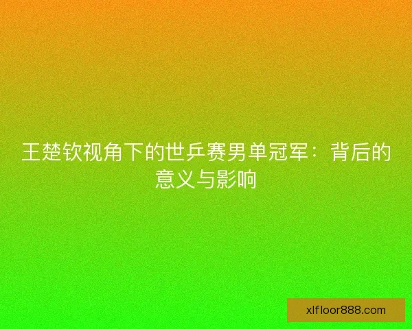 王楚钦视角下的世乒赛男单冠军:背后的意义与影响 王楚钦视角下的世乒赛男单冠军:背后的意义与影响