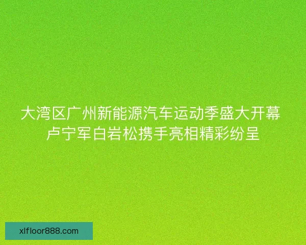 大湾区广州新能源汽车运动季盛大开幕 卢宁军白岩松携手亮相精彩纷呈 大湾区广州新能源汽车运动季盛大开幕 卢宁军白岩松携手亮相精彩纷呈